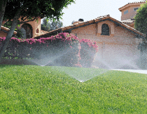 ��ƺ����