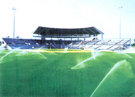 ��ƺ����