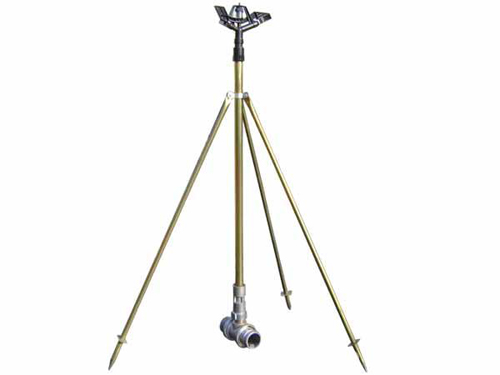 ����֧��